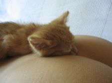 sur les fesses.jpg